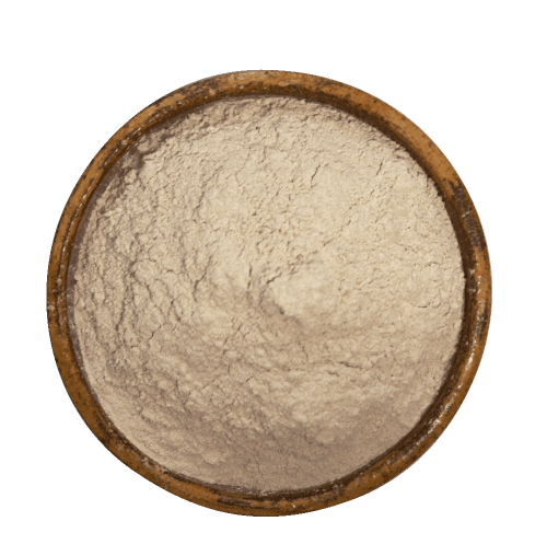 Cebolla-en-polvo