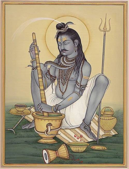 Shiva bhang y especias