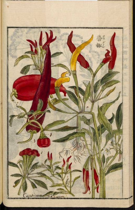 chiles 