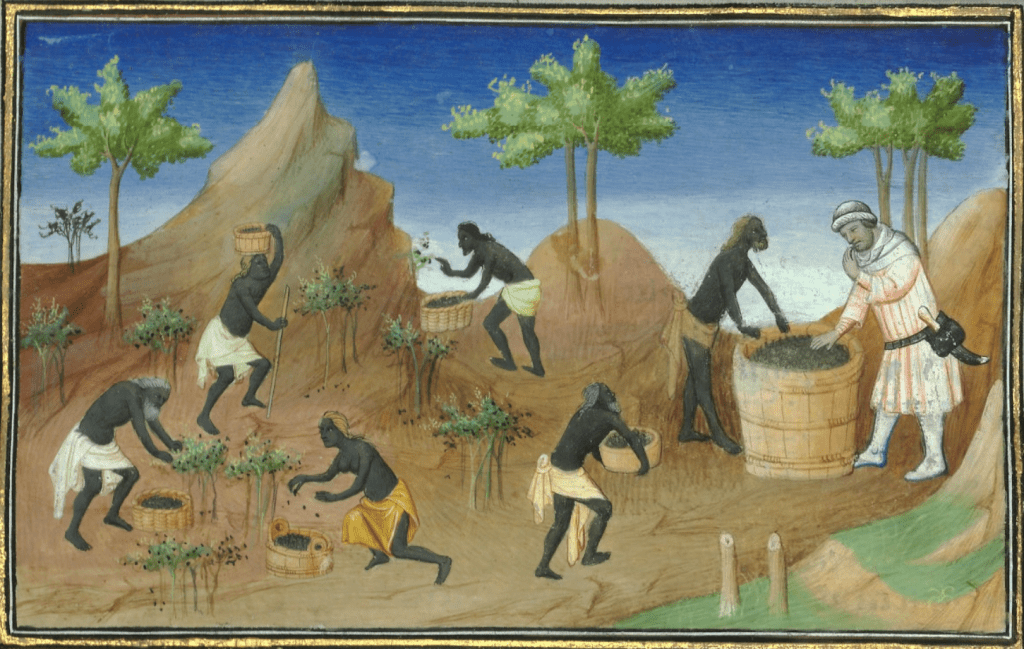 las especias de marco polo