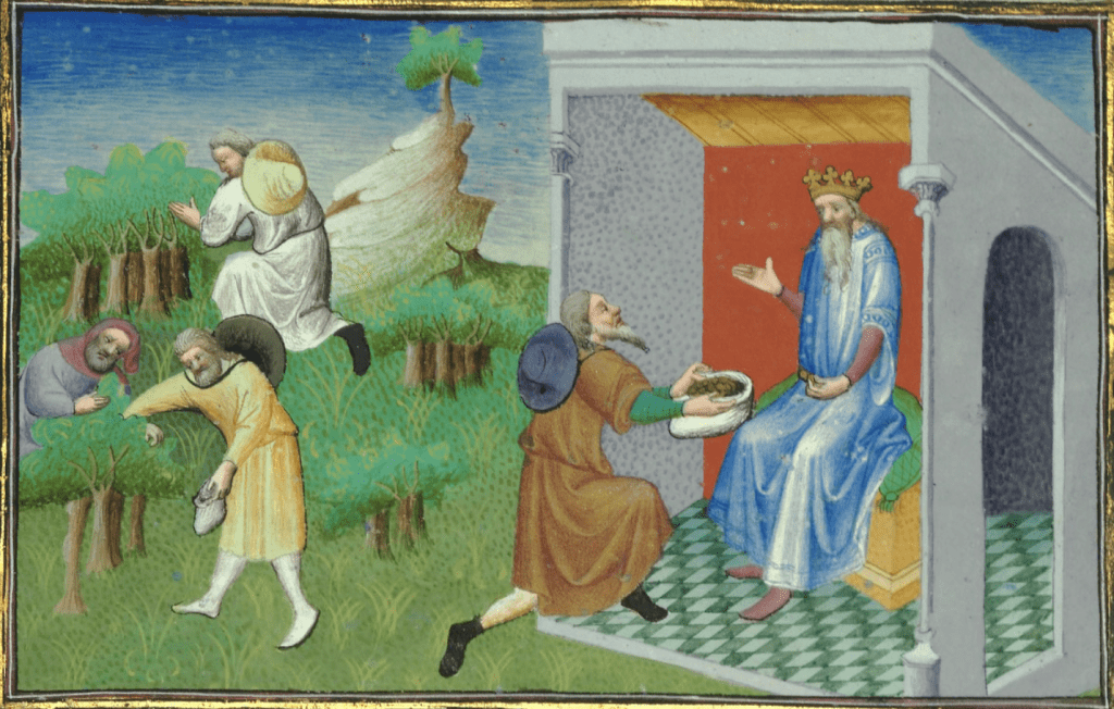 las especias de marco polo