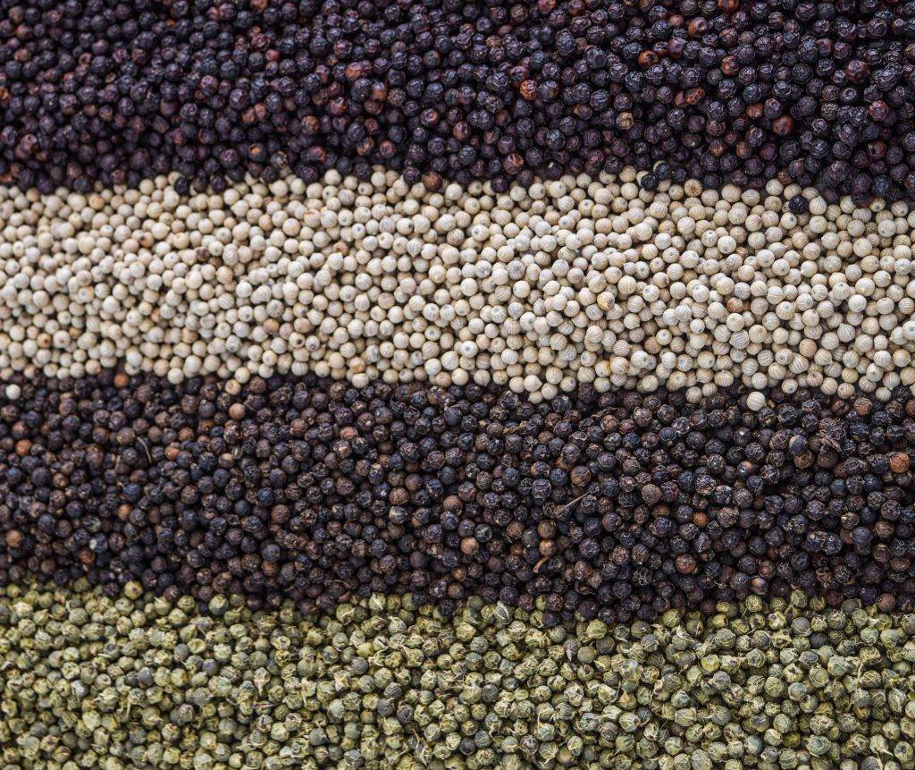 las especias de marco polo