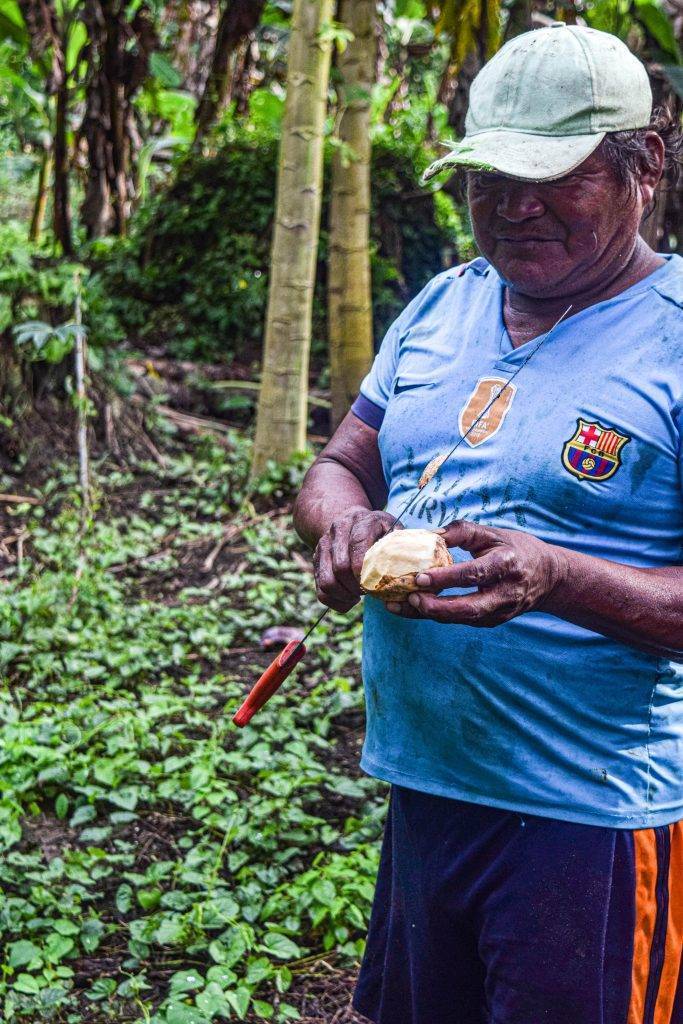 exploración en la Amazonía colombiana