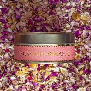 Rosa de damasco