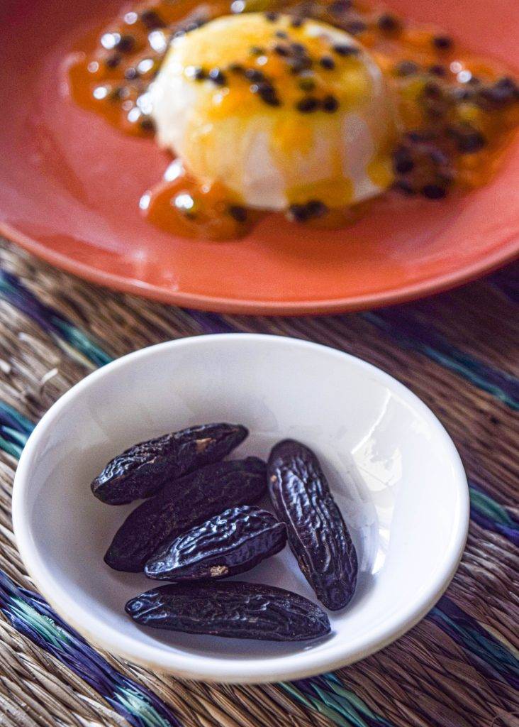 panna cotta tonka