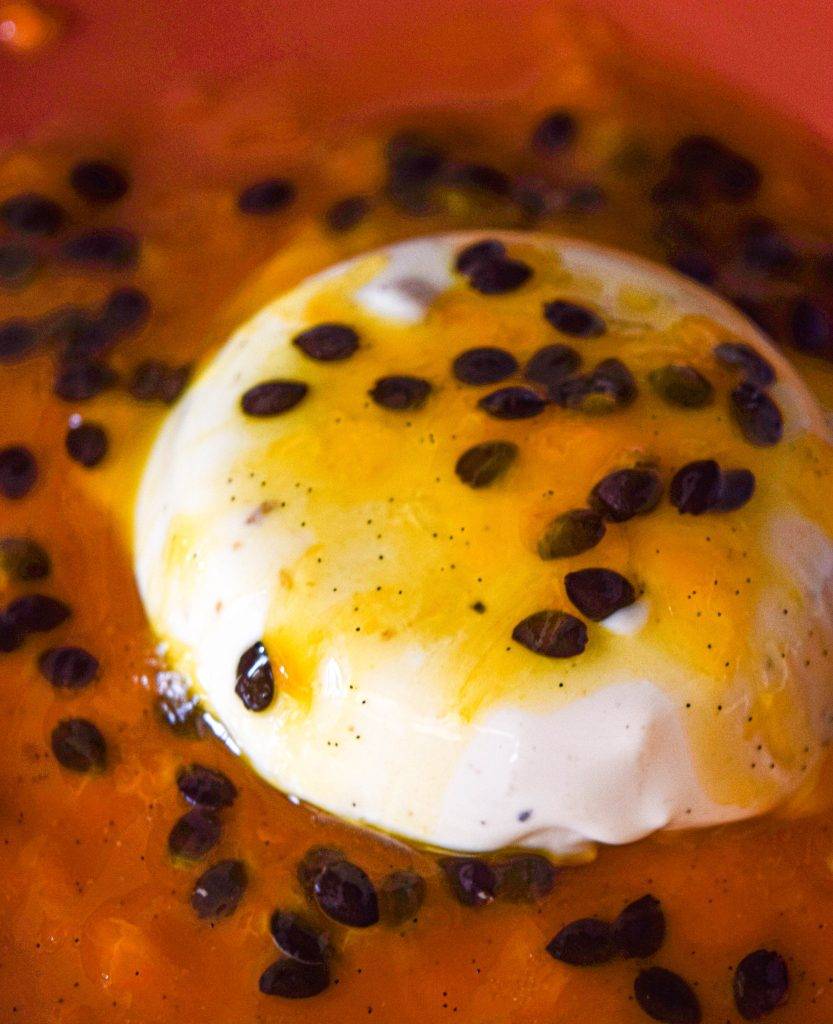 panna cotta tonka