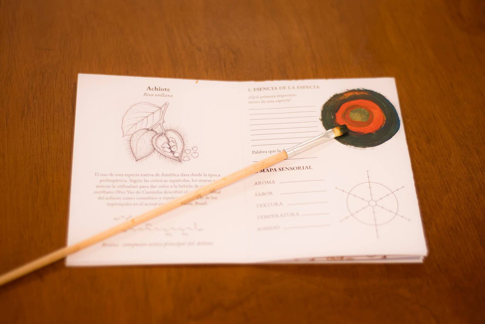 Cuaderno sensorial de la experiencia abierto en la ficha del achiote, con un pincel